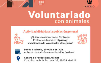 Voluntariado con animales